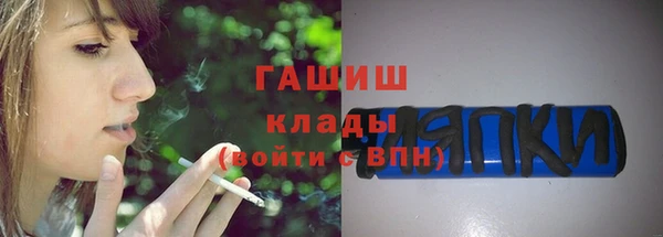 гашик Алексин