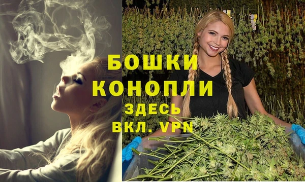 стафф Дмитров